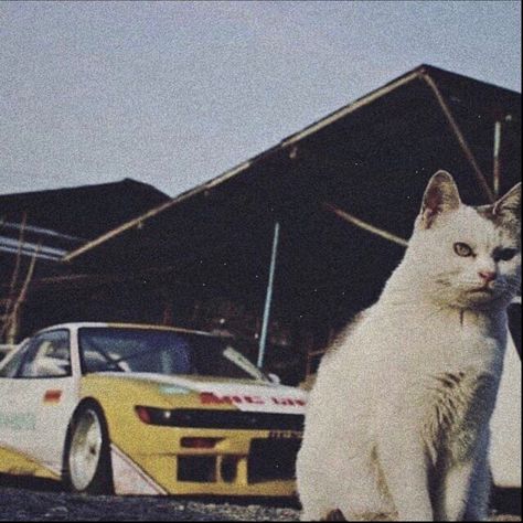 Cat Pretty, S13 Silvia, Car Cat, Silvia S13, Jdm Wallpaper, Japanese Domestic Market, Best Jdm Cars, Drifting Cars, Street Racing Cars