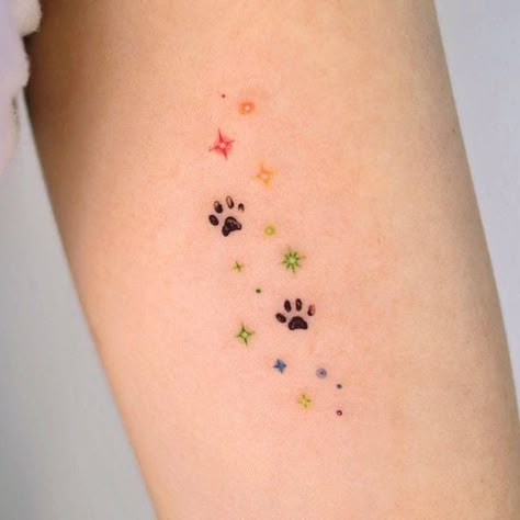 Rainbow Dog Tattoo, Rainbow Paw Print Tattoo, Micro Cat Tattoo, Pawprint Tattoo Cat, Little Dog Tattoo, Cat Inspired Tattoos, Small Pet Tattoos, Dog Name Tattoo, Simple Dog Tattoos