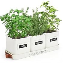 Indoor Herb Garden Containers, Herbs In Kitchen, Inside Herb Garden Ideas, Window Pots, Kitchen Window Herb Garden, Indoor Herb Garden Ideas, Farmhouse Planter, Windowsill Herb Garden, Kitchen Herb Garden