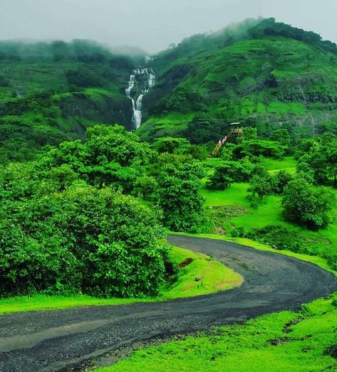 Welcome To #Konkan_Tourism on Instagram: “#konkan #monsoon #nature_lovers #maharashtra #photography #instalike” Konkan Nature, Kokan Nature, Nechar Photos, Indian Places, Nature Captions, Vijay Kumar, Devi Images Hd, Good Morning Beautiful Flowers, Wallpaper Cave