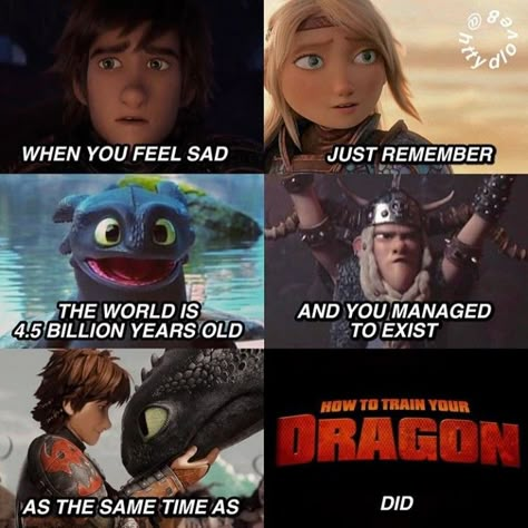 Funny How To Train Your Dragon, How To Train Your Dragon Memes Hilarious, Httyd Memes Hilarious, How To Train Your Dragon Funny, Httyd Memes Funny, Dragon Jokes, Sheldon The Tiny Dinosaur, Httyd Fanart, Httyd Funny