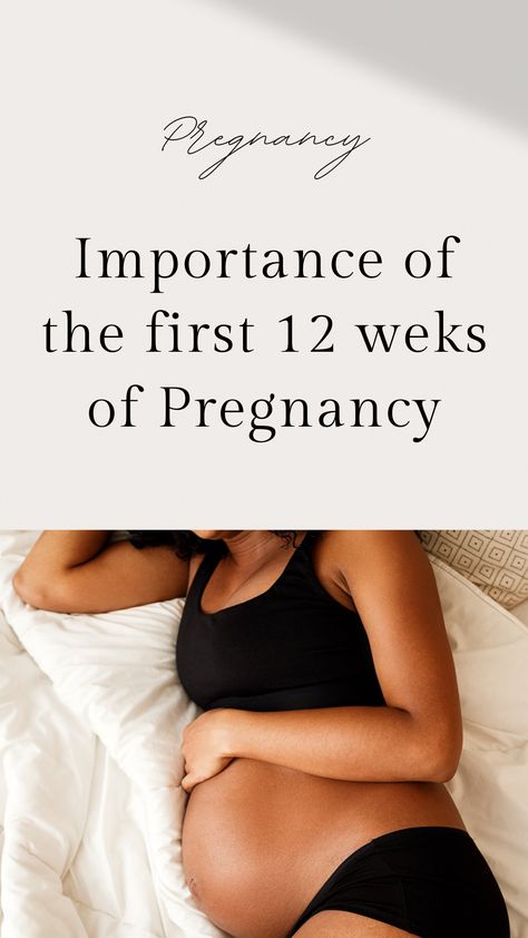 Pregnant 1st Trimester, How Many Weeks In Each Trimester, Trimesters Of Pregnancy By Weeks, First Trimester Self Care, Pregnancy 1st Trimester Tips, Workout Pregnant First Trimester, What To Expect In The First Trimester, 1st Trimester Pregnancy Workout, Early Pregnancy Workout First Trimester