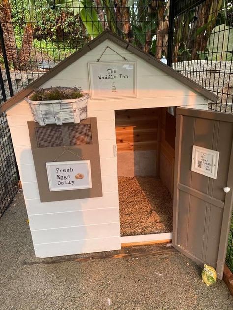 Dog House Duck Coop, Indian Runner Duck Coop, Runner Duck House, Runner Ducks Coop, Chicken Ramps, Ducks Coop, House Duck, Duck Coop, Runner Ducks