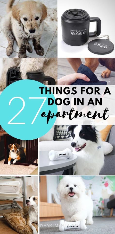 Having a dog in an apartment or small space is not easy. But with the right arsenal of pet accessories and dog gadgets it can be easy and enjoyable. Check out this list that is filled with dog caring ideas, gadgets, and necessary things your pooch will appreciate. Yes, everybody needs a leash and a bunch of chew toys, but this list of stuff for keeping a dog in an apartment goes beyond that. #dogideas #smallspace #dogapartment Apartment Dogs, Dog Gadgets, Dog Spaces, Dog Hacks, Walk In The Park, Vintage Mickey, Small Apartment, Diy Dog Stuff, Dog Supplies