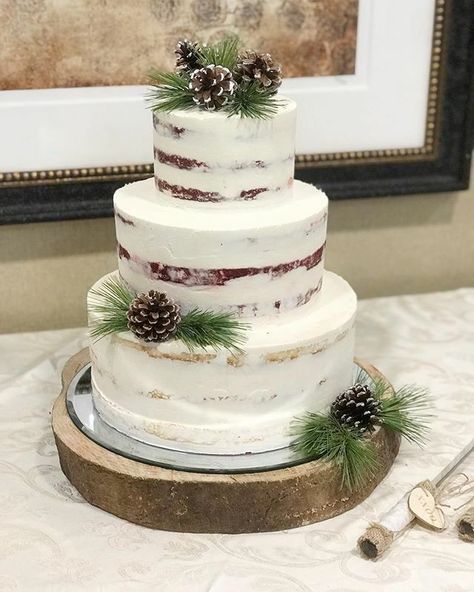 Rustic pine cone naked cake Tyler And Kendall, Winter Baby Shower Cake, Pine Cone Wedding, Semi Naked Cake, Christmas Wedding Inspiration, Christmas Wedding Cakes, Outside Baby Showers, Winter Wedding Cake, Winter Cake