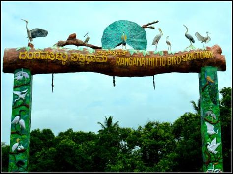 Kaveri River, 40 Acres, Private Boat, Bird Sanctuary, School Decor, River Bank, Tourist Places, Mysore, School Decorations