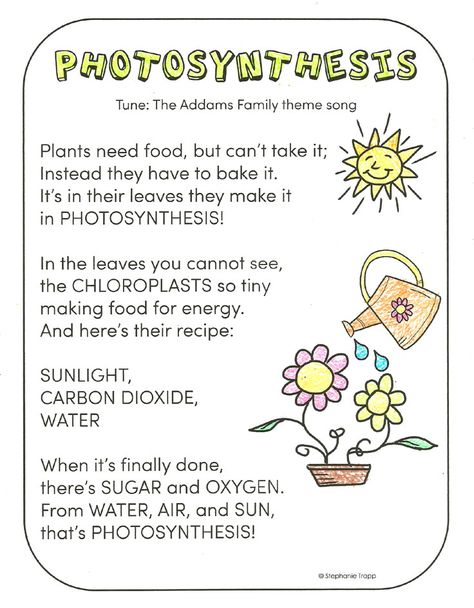 FREE photosynthesis song printable and other activities for teaching photosynthesis to young learners. Photosynthesis For Kindergarten, Photosynthesis Kindergarten, Photosynthesis Coloring Page, What Is Photosynthesis, Process Of Photosynthesis, Photosynthesis In Higher Plants, Photosynthesis Activities, Photosynthesis Worksheet, Grade 3 Science