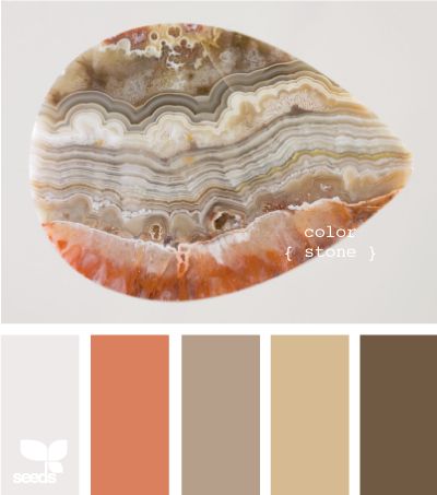 love the coral pops with the rich neutrals Cream Furniture, Palette Design, Color Palate, Theme Color, Design Seeds, Paint Schemes, Living Room Paint, Room Paint, Kitchen Colors