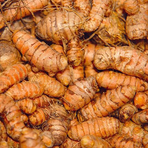 Johnny Appleseed Organic™️ on Instagram: “Turmeric is.. wow, turmeric is not very photogenic, is it? 😂 Well, whatever this root crop lacks in aesthetic appeal, it more than makes up…” Turmeric Aesthetic, Johnny Appleseed, Apple Seeds, In Aesthetic, Turmeric Root, Carrots, Instagram Posts, On Instagram, Quick Saves