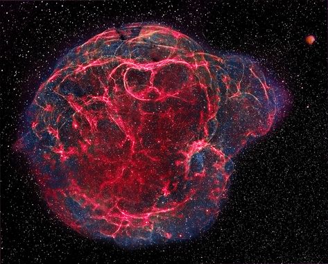 spaghetti nebula Supernova Remnant, Supernova Explosion, The Constellations, Nasa Images, Orion Nebula, Hubble Space, Space Photos, Space Images, Hubble Space Telescope