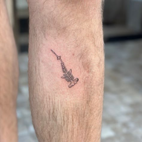 Lil hammerhead shark skeleton by @carlytattoosart ! #sandiegotattooshop Shark Tattoo Skeleton, Hammerhead Shark Skeleton Tattoo, Hammerhead Shark Skeleton, Hammer Head Tattoo, Shark Skeleton Tattoo, Shark Teeth Tattoo, Hammerhead Tattoo, Shark Skeleton, Small Shark Tattoo