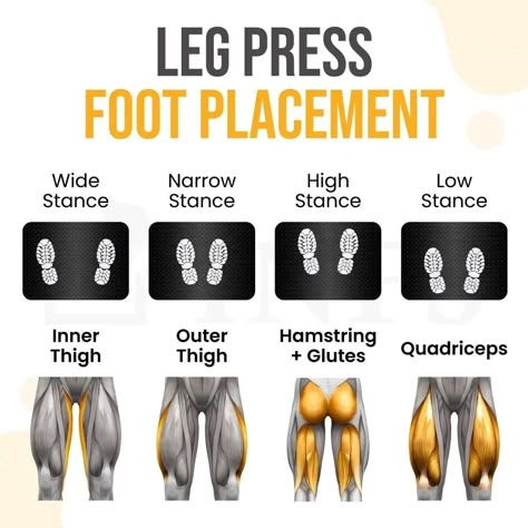 Leg Press Foot Placement, Leg Press Workout, Leg Workouts Gym, Workout Gym Routine, Best Leg Workout, Gym Workout Plan For Women, Leg Day Workouts, Leg And Glute Workout, Trening Fitness