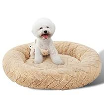 Dog Bed Medium, Small Dog Bed, Medium Dog Bed, Animal Supplies, Washable Dog Bed, Dog Beds For Small Dogs, Cat Beds, Small Animal Supplies, Cozy Feeling