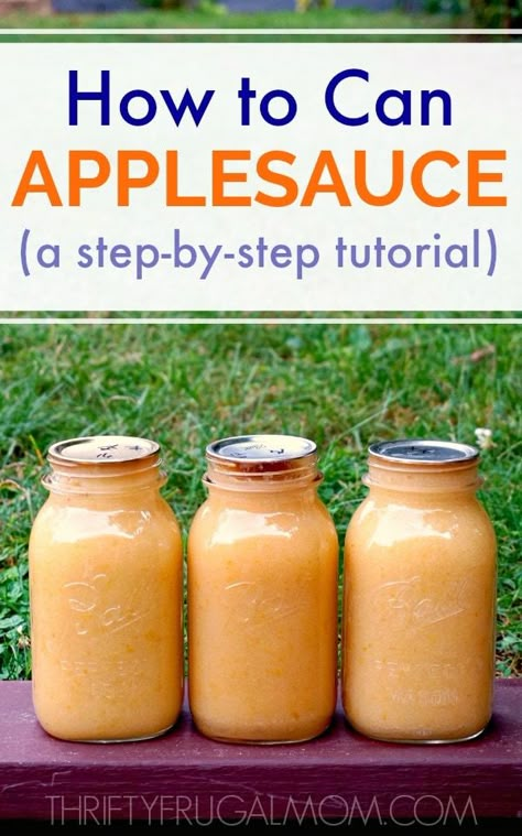 how to can applesauce How To Can Applesauce, Canning Applesauce, Summer Canning, Canned Applesauce, Freezing Recipes, Canning Apples, Freeze Food, Easy Canning, Canning 101