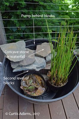 Patio Garden Inspiration, Container Water Features, Container Water Gardens Mini Pond, Water Container Garden, Container Pond With Fish, Micro Pond, Container Pond Ideas, Diy Patio Pond, Diy Container Pond