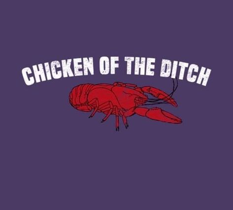 Crawfish Season, Louisiana Cajun, Bad Marriage, Louisiana Homes, New Orleans Mardi Gras, Bar Art, Southern Hospitality, Good Times Roll, New Orleans Louisiana