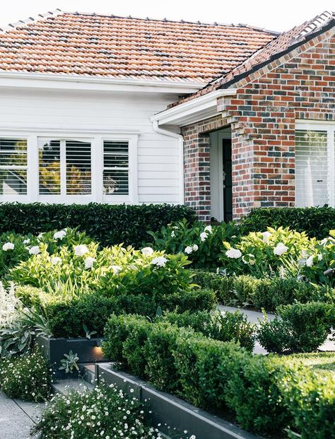 A country-style garden in suburban Melbourne | Australian House and Garden Landscape Small Garden, Summer Lawn Care, Australian Garden Design, Australian Gardens, Californian Bungalow, Australian House, Front Garden Design, Small Garden Ideas, Australian Garden