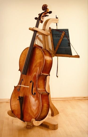 Cello Teaching, Cello Stand, Cello Art, Cello Music, A Night At The Opera, Music Motivation, Cellos, Music Stand, Julia Quinn