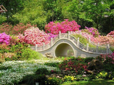 Flower bridge Tattoo Plant, Surrounded By Flowers, Stone Bridge, Gorgeous Gardens, A Bridge, A Park, Japanese Garden, Dream Garden, Wisteria