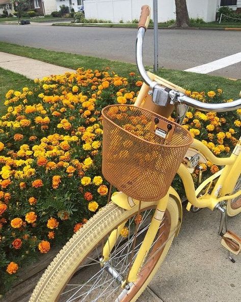 Sixties Makeup, Yellow Aesthetic Pastel, Wallpaper Flower, Vintage Bike, Yellow Wallpaper, Yellow Aesthetic, Orange And Yellow, Pastel Yellow, Aesthetic Images