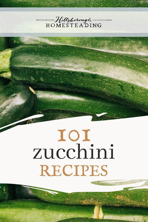 Put your zucchini harvest to good use with over 100 zucchini recipes! Never get bored! Zucchini for breakfast, lunch and dinner! | Hillsborough Homesteading #farmfresh #recipes #homesteadkitchen #homesteading #kitchen #cooking Homesteading Kitchen, Garden Vegetable Recipes, Garden Zucchini, Best Zucchini Recipes, Best Zucchini, Winter Gardening, Vegetable Garden Tips, Zucchini Casserole, Zucchini Recipe