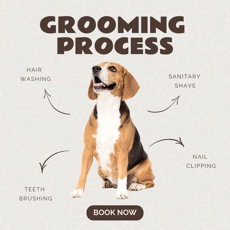 Grooming - Pet Care on Behance Pet Grooming Poster, Dog Grooming Branding, Pet Grooming Advertising, Dog Training At Home, Pet Store Design, Pet Advertising, Pet Store Ideas, Dog Marketing, Pet Care Business