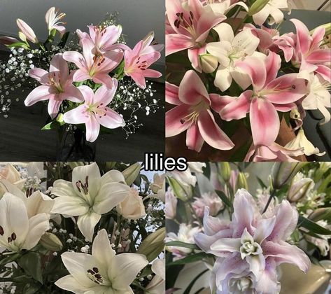 Lili Flowers, Types Of Lilies, Pretty Flowers Pictures, Chihiro Y Haku, Boquette Flowers, Lisa Lalisa, Flower Meanings, Nothing But Flowers, Flower Therapy