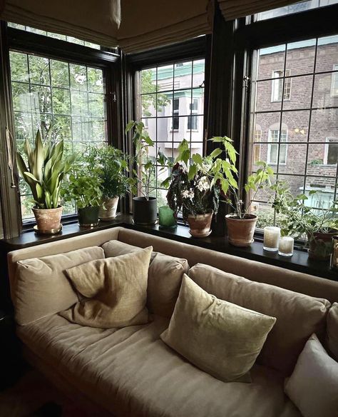 Rainy Window, Rainy Afternoon, Green Couch, Dream Apartment, House Room, Apartment Room, Apartment Design, House Inspo, Living Room Inspiration