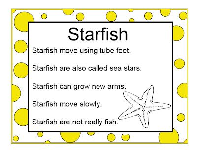 Brilliant Bundles: Preschool Starfish Activities for an Ocean Theme Starfish Activities, Starfish Facts, Ocean Preschool, Ocean Lesson Plans, Preschool Ocean, Ocean Theme Preschool, Ocean Classroom, Sea Activities, Ocean Unit