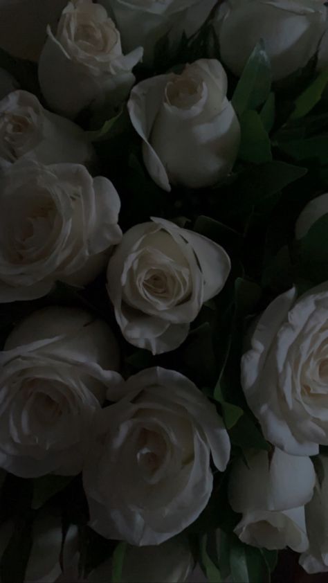 Roses Black And White Wallpaper, Dark White Roses Aesthetic, White English Roses, Flower Backgrounds Wallpapers, Black And White Roses Aesthetic, White Rose Wallpaper Aesthetic, White Roses Aesthetic Dark, White Roses Aesthetic Vintage, White Roses Wallpaper Iphone