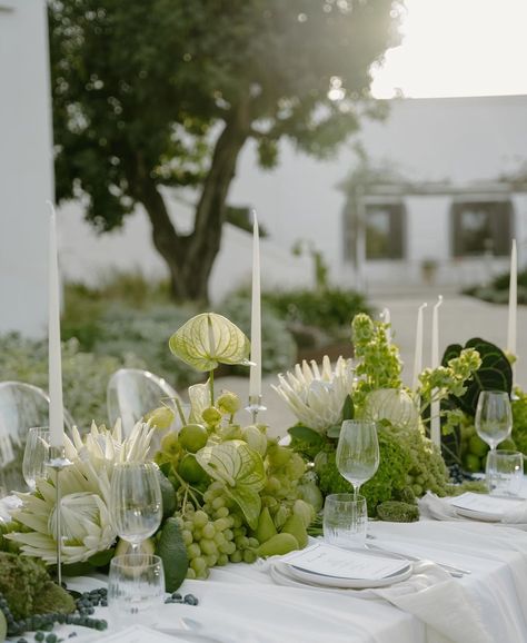 Graphic Instagram, Protea Wedding, Table Spread, Grape Decor, Green On Green, Fruit Centerpieces, Fruit Wedding, Sparkly Wedding, Cabo Weddings