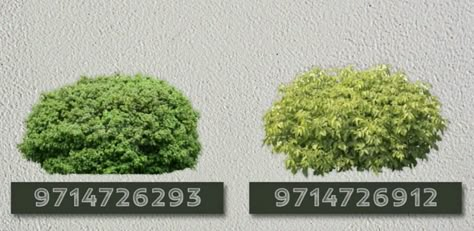 Bushes Decals Bloxburg, Realistic Bush Decals Bloxburg, Bush Decal Codes, Bloxburg Bush Codes, Bush Codes Bloxburg, Bloxburg Garden Decals, Bush Decals Bloxburg, Bloxburg Bushes Decals, Bloxburg Paris