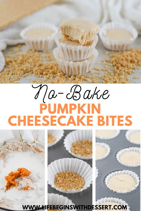 Delight your friends and family with these No-Bake Pumpkin Cheesecake Bites! They’re creamy and decadent, all while being super quick and easy to make. Serve these up within minutes and lighten your load while pleasing all your pumpkin lovers. #pumpkindesserts #falldesserts #nobakedesserts #bitesized #minidesserts #cheesecakebites #desserts #easydesserts Gluten Free Pumpkin Cheesecake Bites, Pumpkin Crescent Cheesecake Bites, No Bake Pumpkin Cheesecake Bites, Apple Pie Cheesecake Bites, Pumpkin Spice Cheesecake Bites, Mini Pumpkin Cheesecake Bites, Pumpkin Pie Cheesecake Bites, Pumpkin Cheescake, Quick Fall Desserts