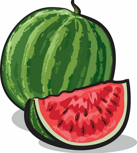 Watermelon Vector, Watermelon Art, Png Images, Watermelon, Adobe Illustrator, Resolution, Royalty Free, High Resolution, Illustrator