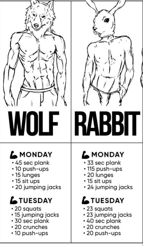 How To Burn 3000 Calories A Day, Wolf Body Type Workout, Masculine Body Workout, Therian Workout, Wolf Workout, Tight Abs Workout, Body Type Workout, Gym Workout Apps, Fighter Workout