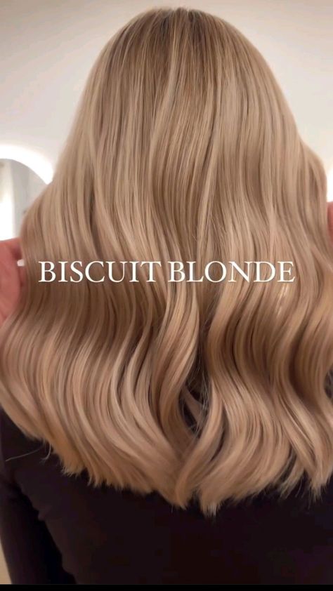 #BlondeHairGoals #BlondeTransformation #HairMakeover #BlondeBeauty #BlondeAmbition #HairInspo #BlondeBombshell #BlondeJourney #NewHairWhoDis #BlondeVibes #HairTransformation #BlondeLife #BlondeHighlights #BlondeObsessed #BlondeMagic Blonde That Grows Out Well, Vague Hairstyle, Scalp Bleach Blonde, Soft Autumn Blonde Hair, Latte Blonde Hair, Bright Honey Blonde Hair, Biscuit Blonde Hair, Biscuit Blonde, Cool Blond