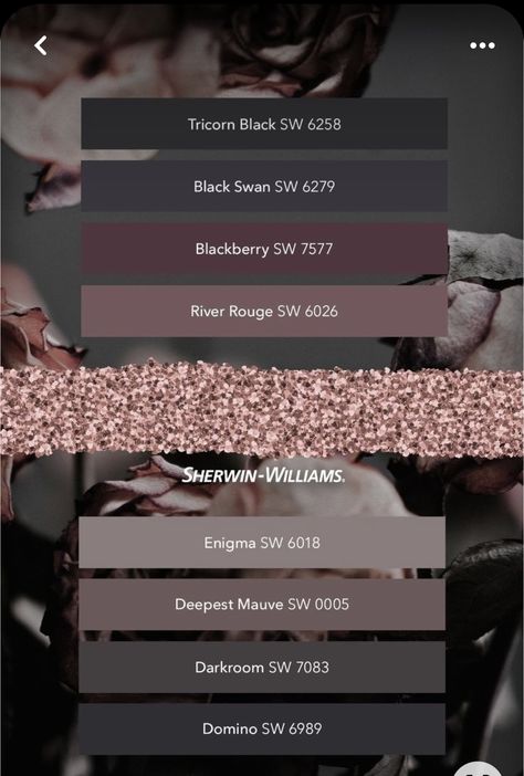 Dark Grey Palette Colour Schemes, Sw Cocoa Berry, Mauve And Black Bathroom, Olive And Plum Bedroom, Black Swan Sherwin Williams, Dark Mauve Bathroom, Blackberry Sherwin Williams, Moody Mauve Paint Colors, Mauve Complimentary Colors