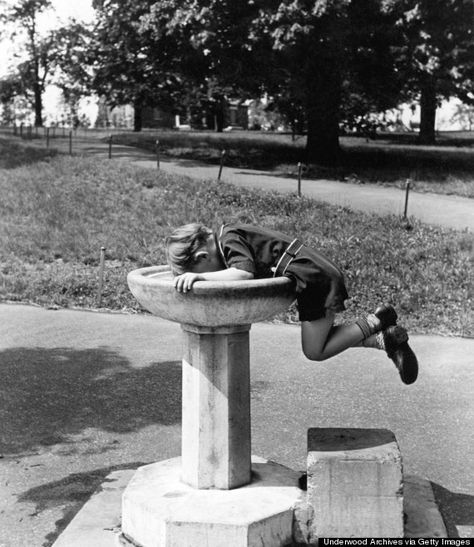 13 Weird Moments In The History Of Water Fountains Spiritual Water, Racine Wisconsin, Fountain Drink, Drinking Fountains, University Of Central Florida, Fountain Design, Tabletop Fountain, Water Drip, Clean Drinking Water