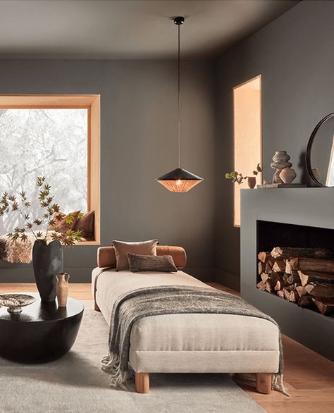 Urbane Bronze Sherwin Williams, Guest Room Paint, Bronze Bedroom, Urbane Bronze, Repose Gray, Neutral Paint Color, Neutral Paint Colors, Sherwin Williams Paint Colors, Modern Farmhouse Design