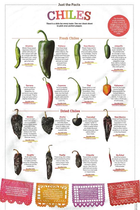 Chiles Cheat Sheet Asian Style Meatballs, Salsa Borracha, Types Of Chili Peppers, Mexican Chile, Food Engineering, Kitchen Conversions, Duck Breeds, Types Of Peppers, Culinary Cooking