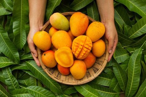 Folate Foods, Mango Benefits, Natural Showers, Francis Picabia, Green Leaf Background, Fruit Benefits, Mango Fruit, Mango Recipes, Mango Tree