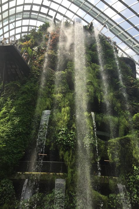 Cloud Forest Dome - Singapore Cloud Forest Singapore, Cloud Forest, Singapore Aesthetic, Cottagecore Wallpaper, Singapore Botanic Gardens, Singapore City, Singapore Photos, Singapore Travel, Nature Travel