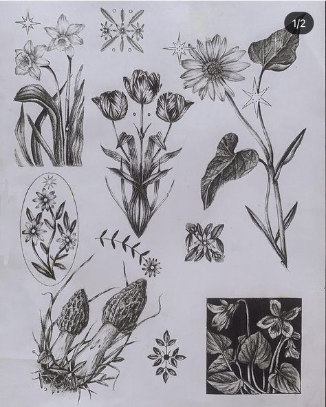 Earthy Cover Up Tattoos, Botanical Drawings Sketchbooks, Goth Plant Tattoo, Flowy Botanical Tattoo, Botanical Tattoo Flash, Dark Cottagecore Tattoo, Dark Botanical Tattoo, Woodland Tattoo Ideas, Witchy Floral Tattoo