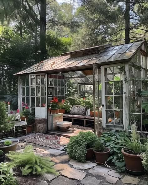 Greenhouse Floor, Solarium Ideas, Garden Shed Interiors, Shed Greenhouse, Outdoor Greenhouse, Greenhouse Shed, Home Greenhouse, Small Greenhouse, Backyard Greenhouse