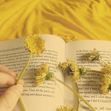 Reading Books, Yellow Flowers, A Book, Dandelion, Reading, Yellow, Books, Flowers, Home Decor