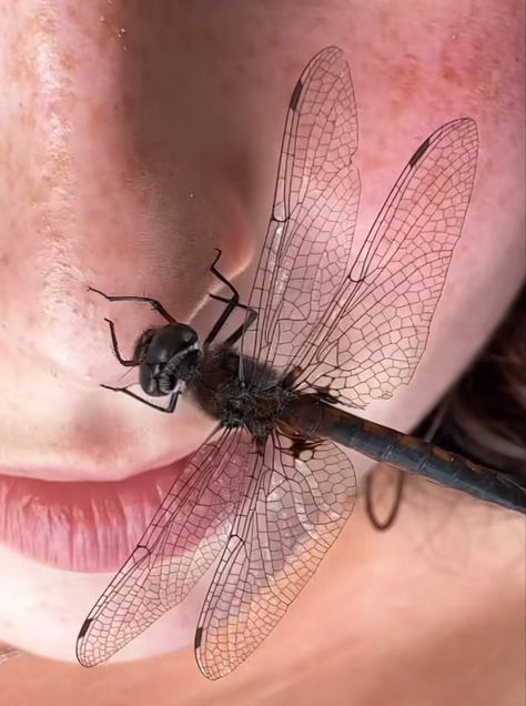 Fly Insect Aesthetic, Bug Girl Aesthetic, Bug Taxidermy, Flying With A Baby, Angel Aesthetic, Beautiful Bugs, Creature Feature, Granola Girl, Vintage Girls