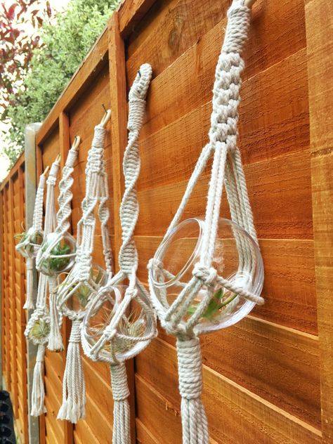 Glass Bowl Air Plant Hangers Tutorial Series Macrame Terrarium Hanger, Plants In Glass Bowl, Plant Hanger Ideas, Hangers Design, Plant In Glass, Succulent Bowls, Small Indoor Plants, Macrame Plant Hanger Patterns, Macrame Planter