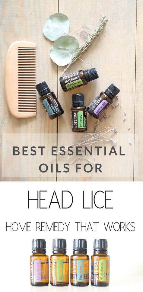 Essential Oils For Lice, Our Oily House, Lice Remedies, Lice Shampoo, Lice Prevention, Essential Oils For Colds, Essential Oils For Headaches, Coconut Oil For Skin, Doterra Oils