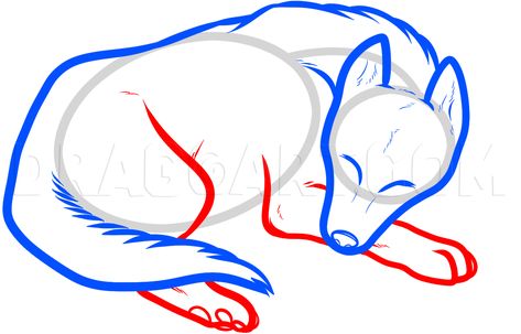 How To Draw A Sleeping Dog, Sleeping Dog, Step by Step, Drawing Guide, by Dawn | dragoart.com Sleeping Wolf, Bed Drawing, Dog Sleeping Positions, Sleeping Pose, Sleeping Drawing, Dog Sleeping, Drawing Animals, Dog Steps, Dog Sketch