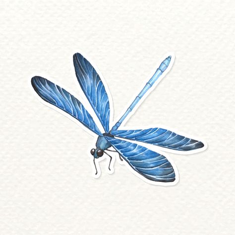 Dragonfly Background, Watercolour Dragonfly, Watercolour Paper Texture Backgrounds, Dragonfly Stickers, Dragonfly Vector, Blue Stickers, Watercolor Dragonfly, Watercolor Paper Texture, Blue Dragonfly